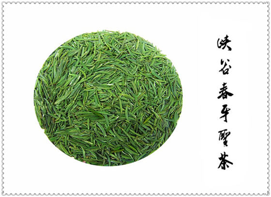 婺源峡谷春牙圣茶