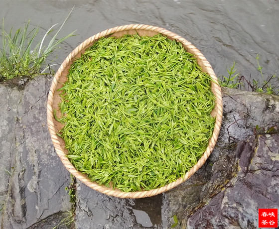 生活如茶