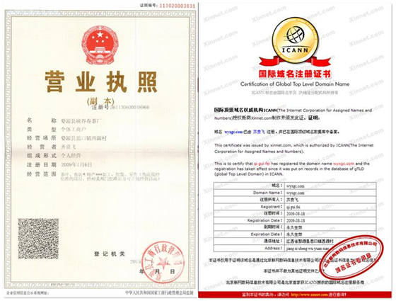 执照域名证书