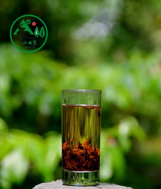 丛林雾茶~伴随着家乡才子、佳人在神州大地上飘香 丛林雾茶~伴随着家乡才子、佳人在神州大地上飘香