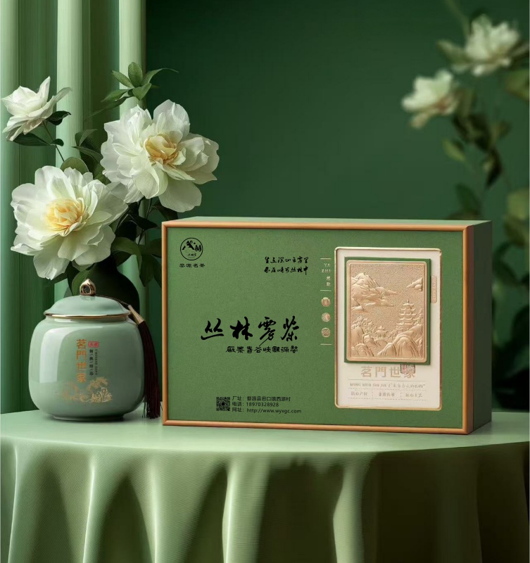 �߾����Դ������²�