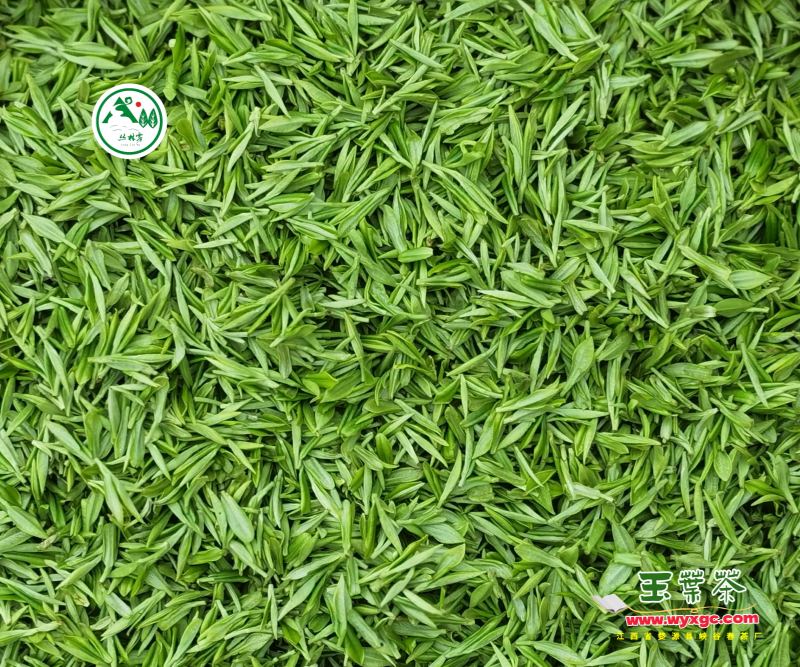 ������������������ײ���