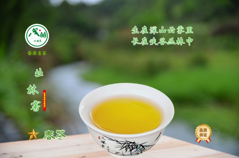 �о�֤������Ҷ�л�ͪ���ǽ���Ѫѹ�ĺð���